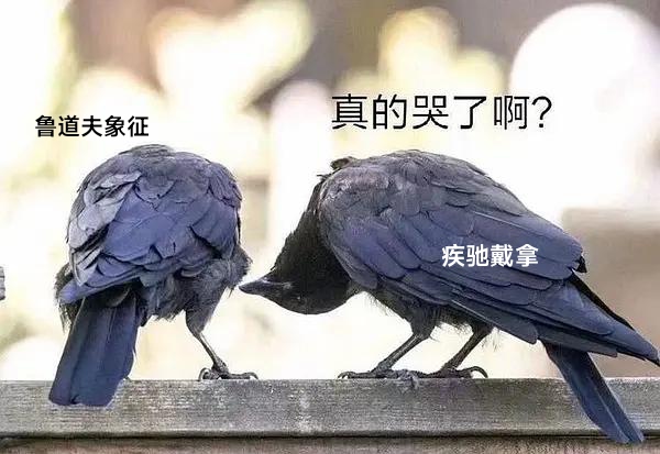 戴拿：真哭了啊？