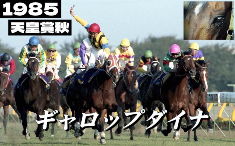 85天秋，右上角露娜