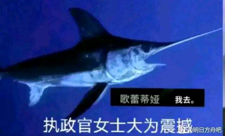 今日刁图