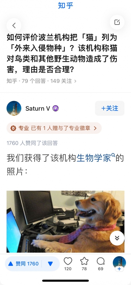 今日刁图