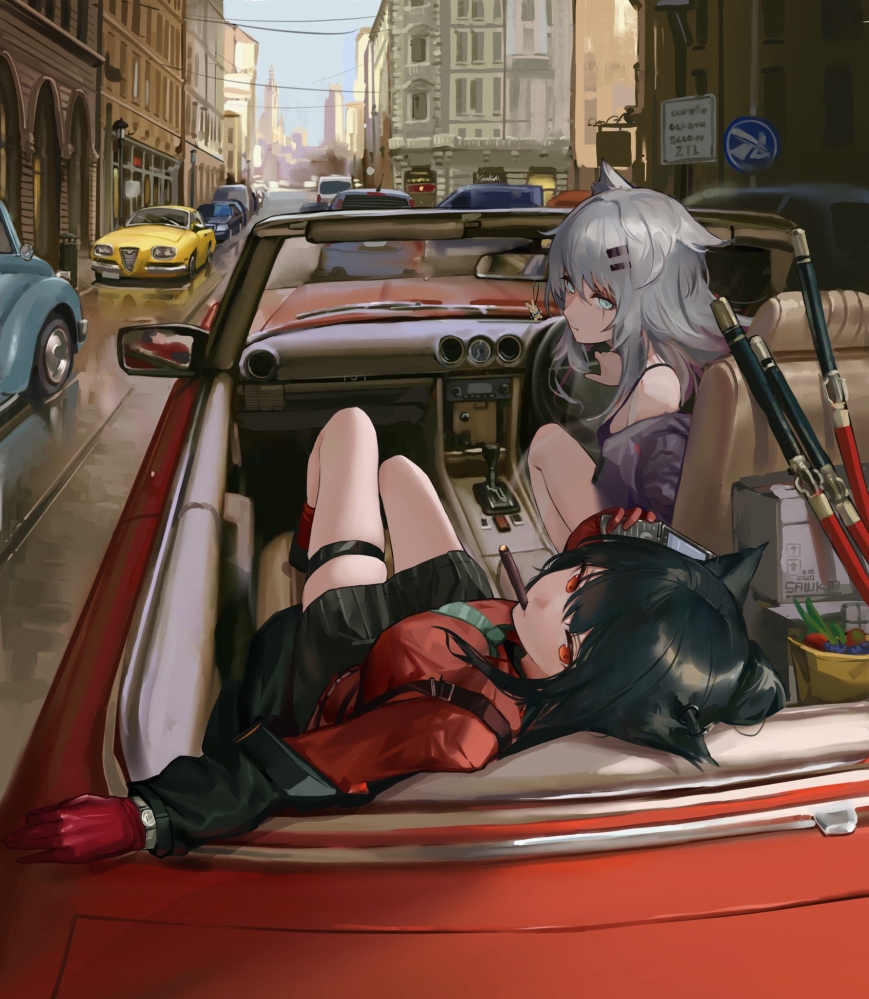 双狼