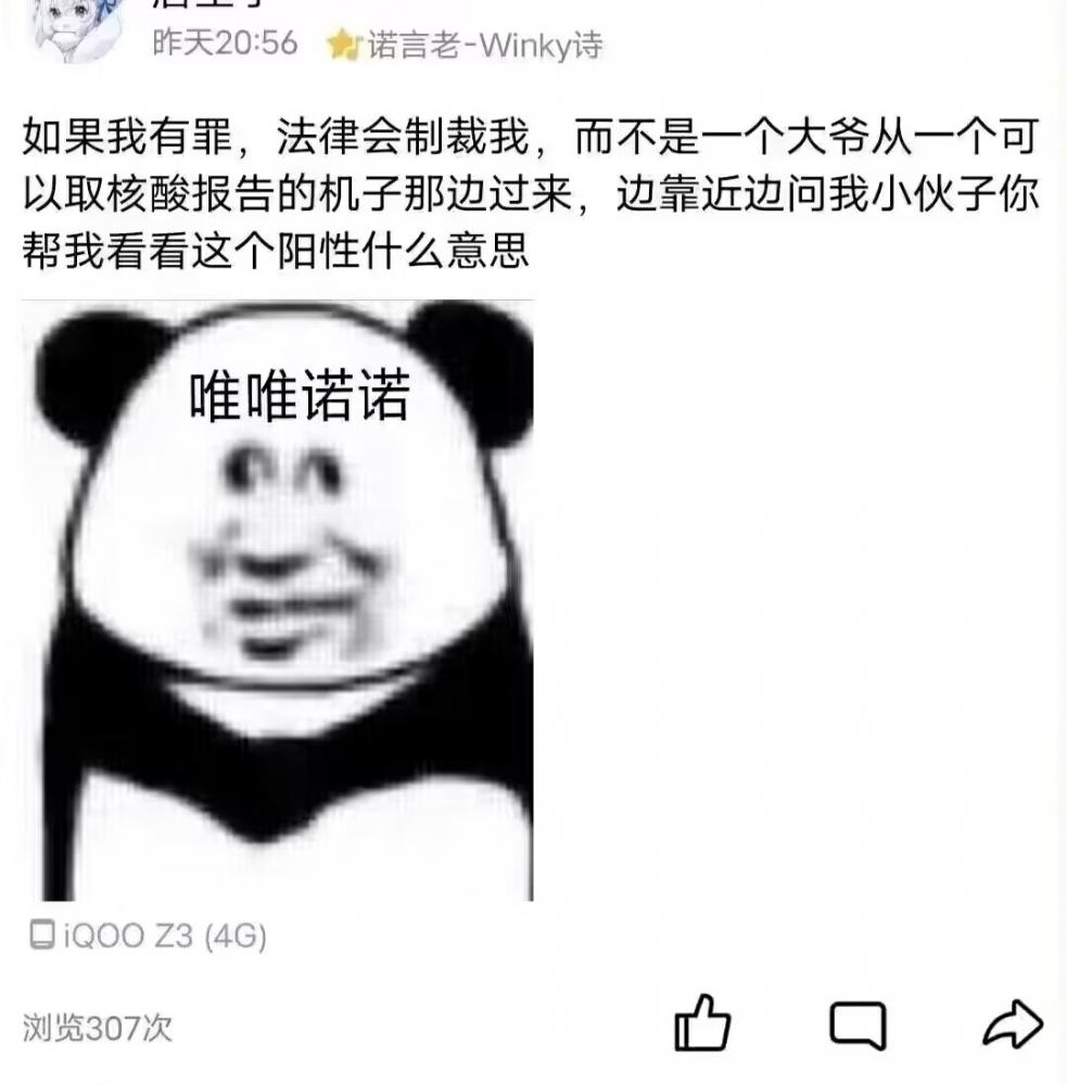 今日刁图