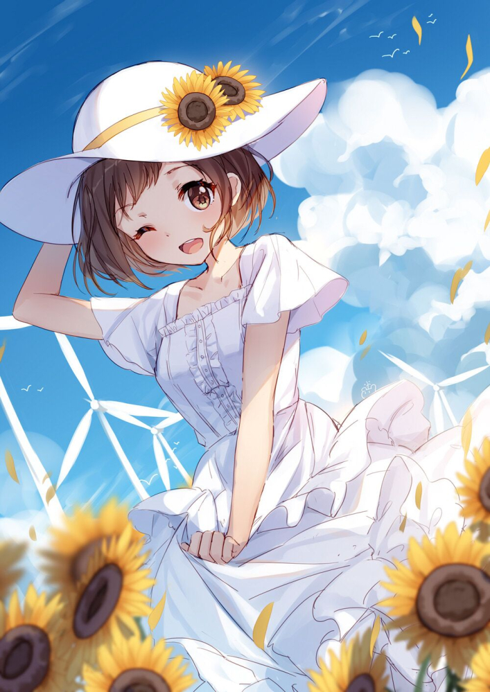 羽泽鸫