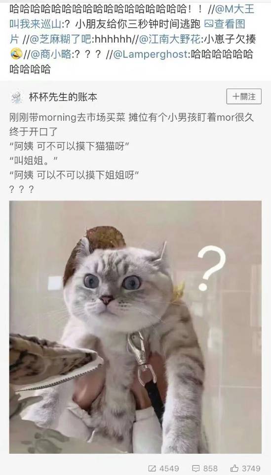 猫：小老弟你咋回事