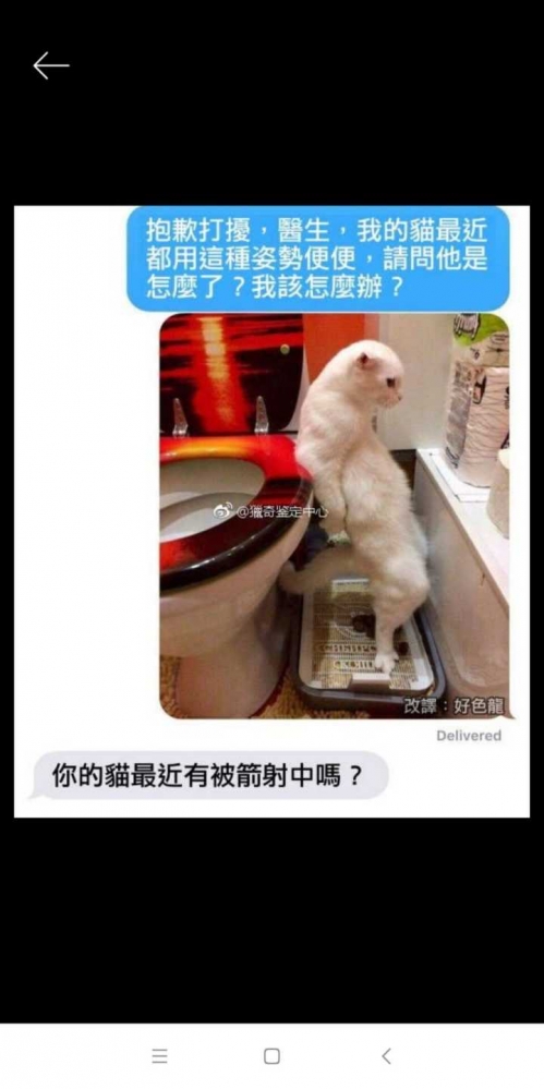 恁就是替身使猫？