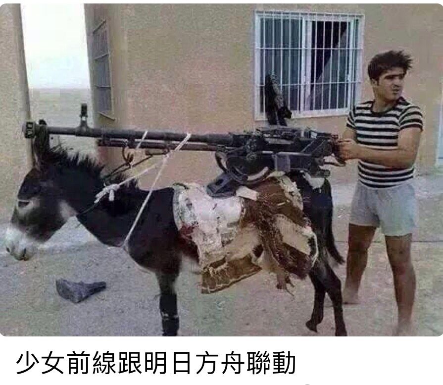 迫 真 联 动