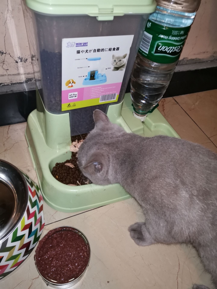 别拉着我我还能吃！