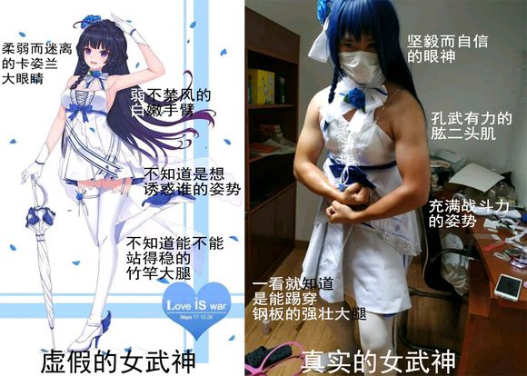 真实与虚假的对比