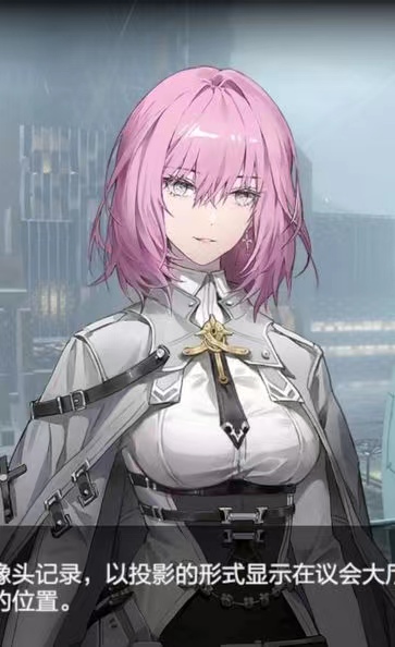 这个是战双岳母