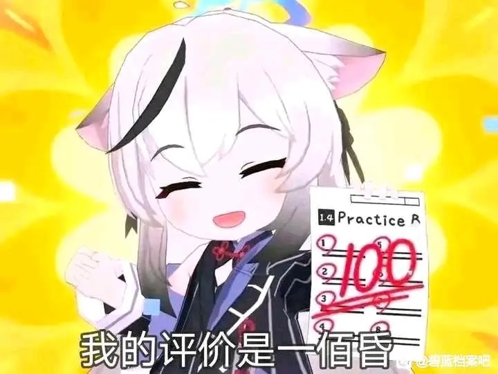 我的评价是一百分