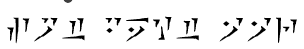 白·玫瑰·仆人