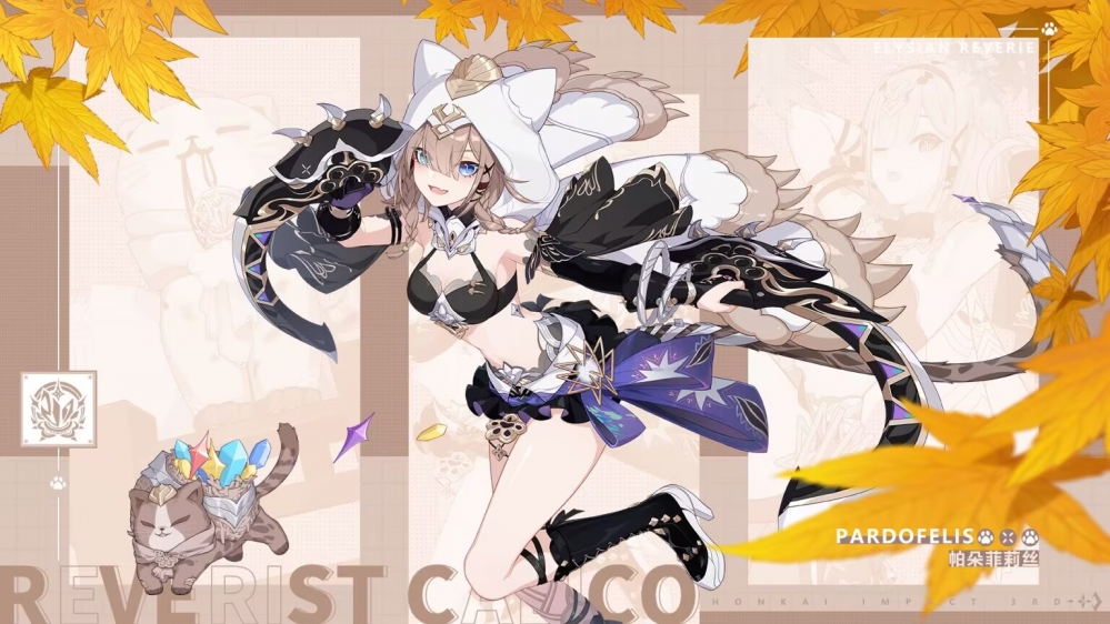 帕朵