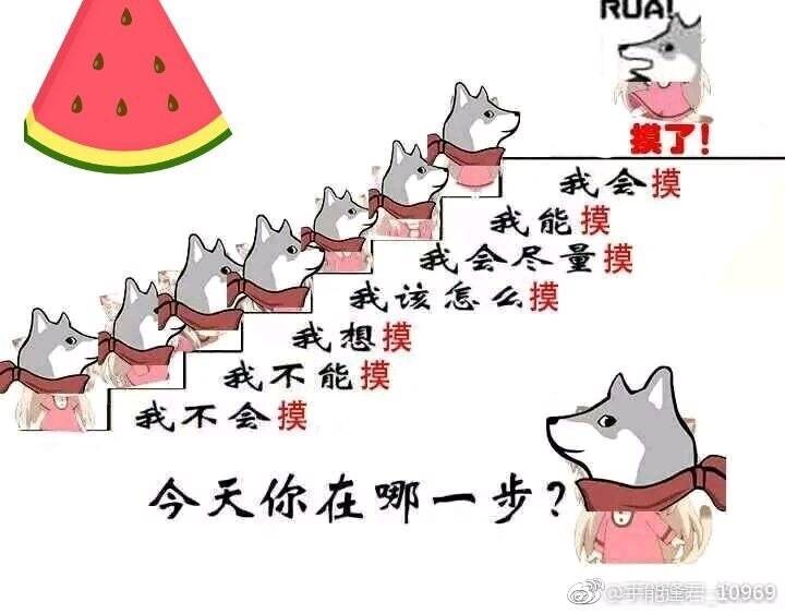 今天你在哪一步