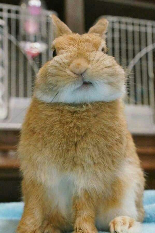 我是谁？我在那？我在