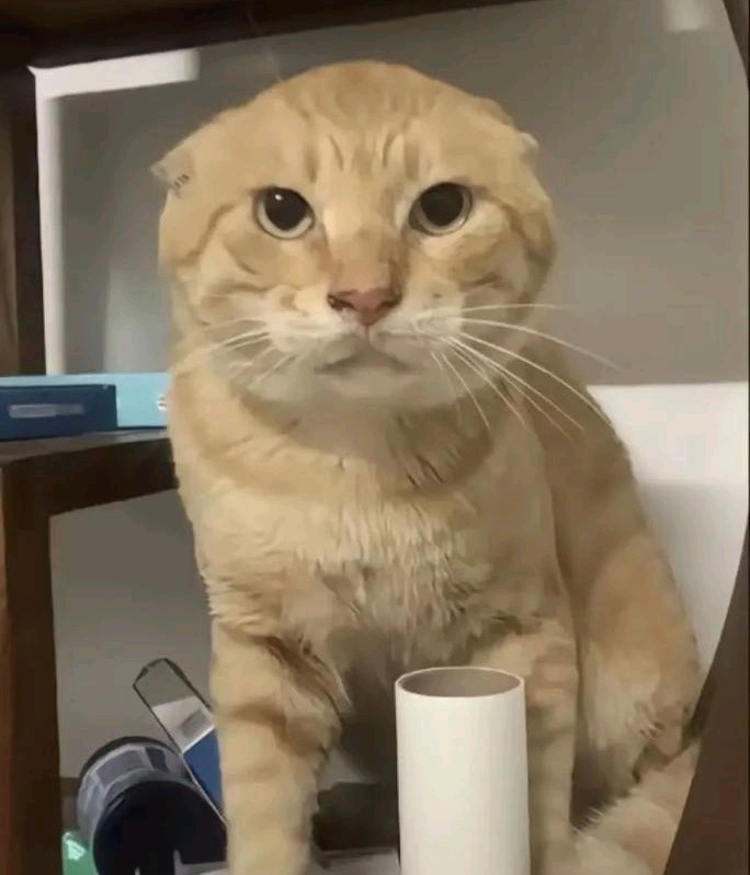 我还真有点害怕……