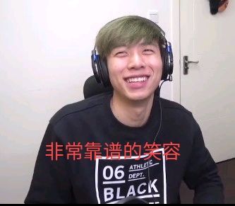 罕见的大猩猩照片