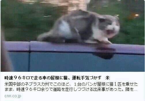 印象里1