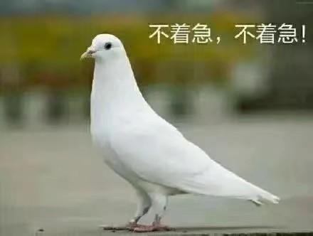 咕咕咕