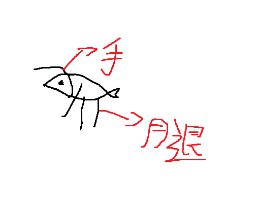 灵魂绘画