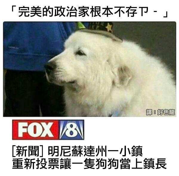 这是真的吗