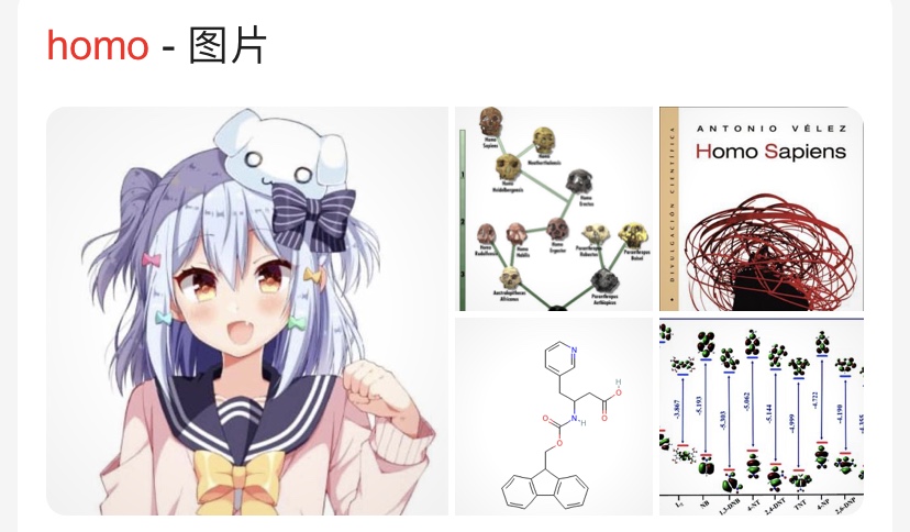 homo的象征(悲)