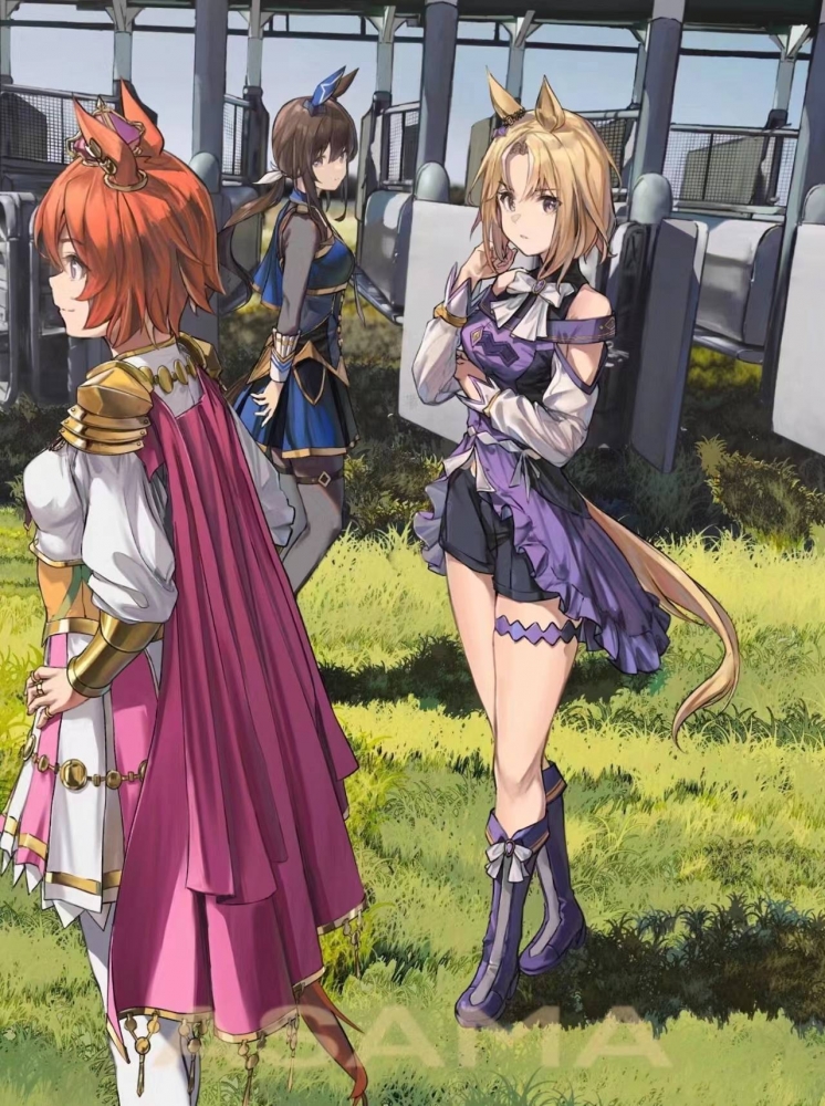 你们这次想要哪个？