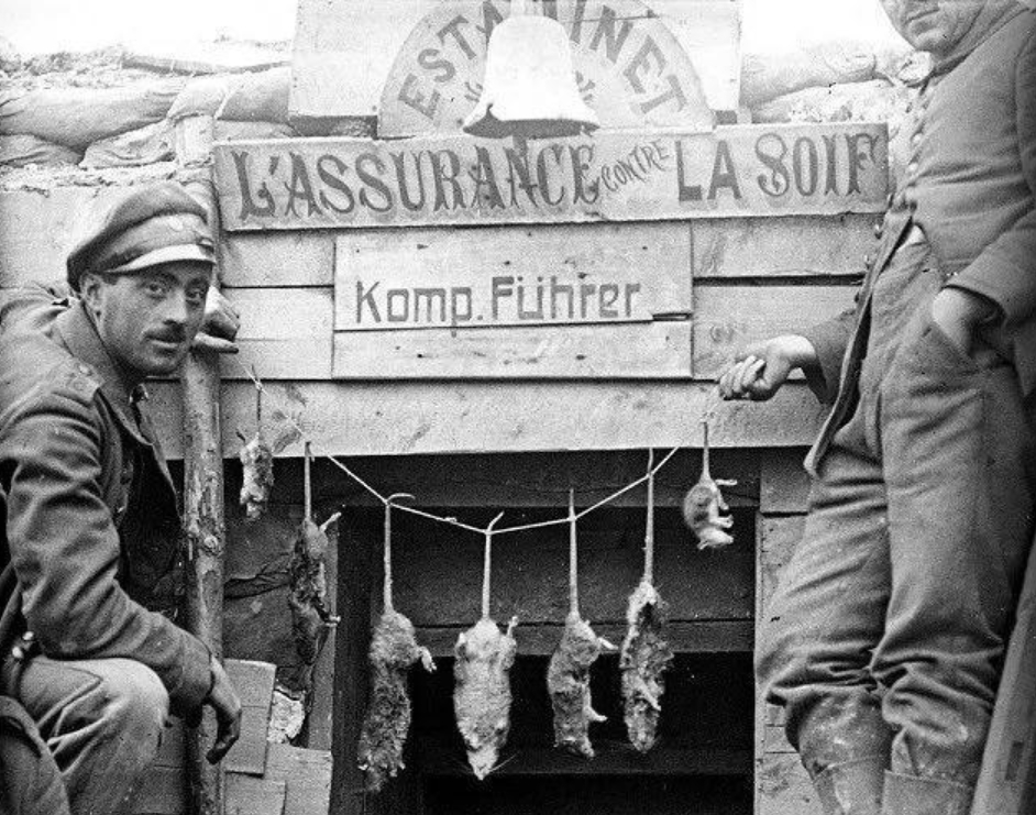 鼠鼠：我没意见