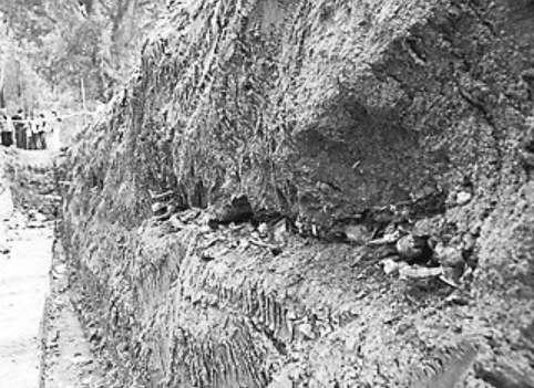 殉道坑里层叠的白骨