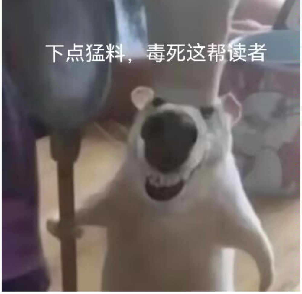 未完待续