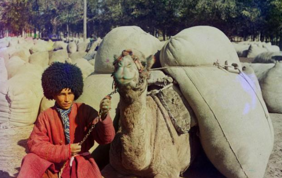 亩产万斤棉花这一块