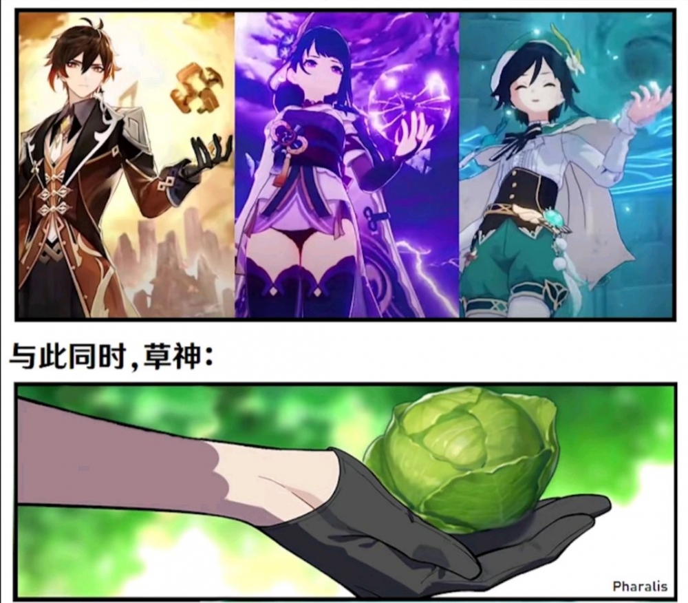 须弥还是空荡荡