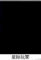 鸽子玩游戏的视力