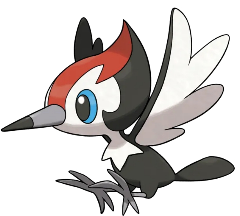 人气最低的家门鸟