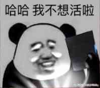 哈哈哈，我不想活啦！