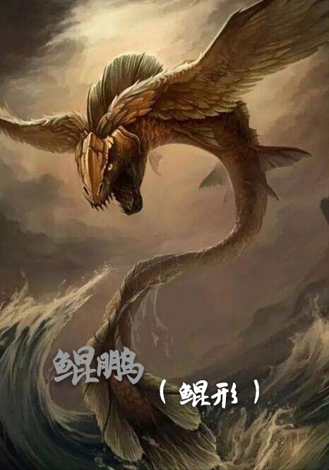 鲲鹏（鲲）