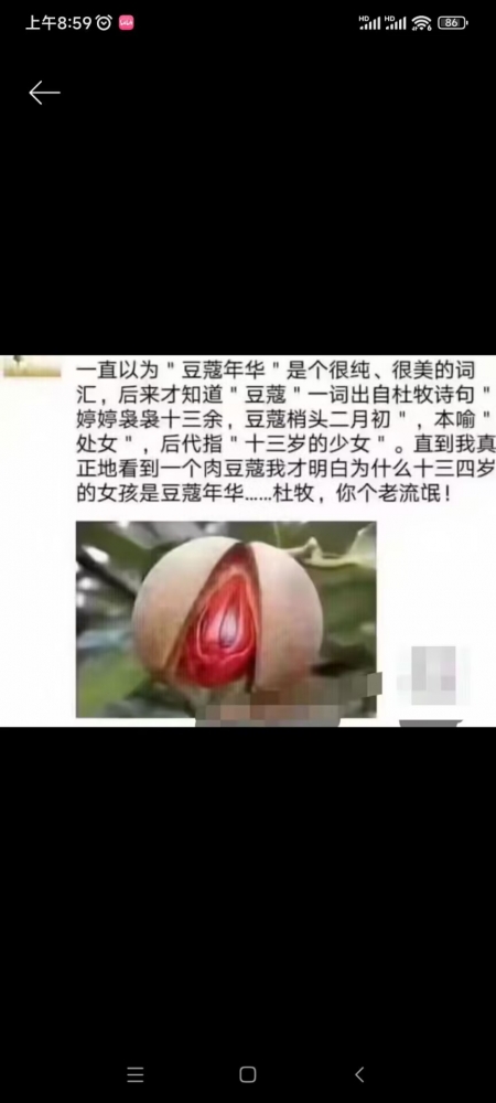 豆蔻年华