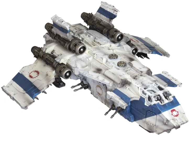 索卡伦型风暴鸟