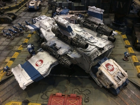 索卡伦风暴鸟大小参照