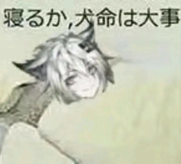 睡了，狗命要紧