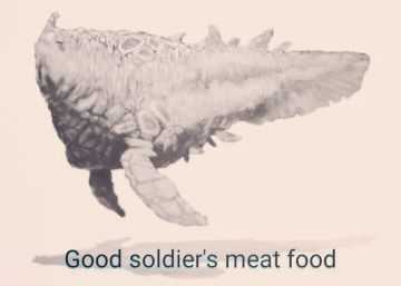 好士兵的美食