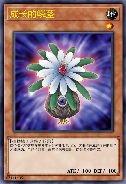 成长的鳞茎