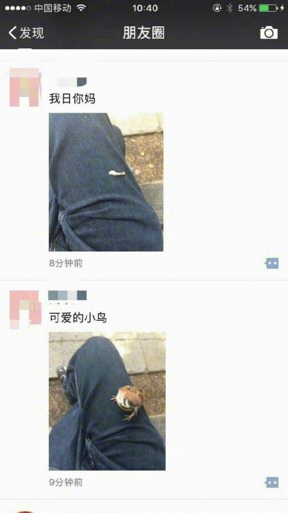 哈哈哈哈哈哈