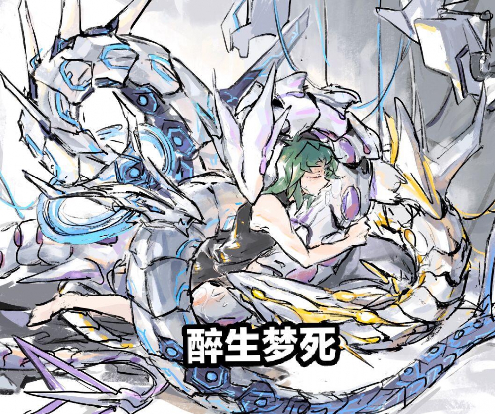 正真的电子龙玩家（修