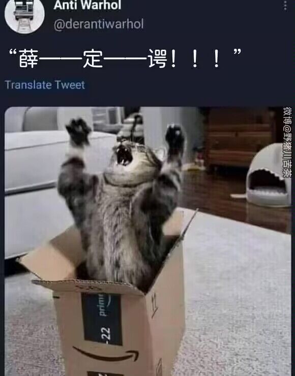 猫猫之怒