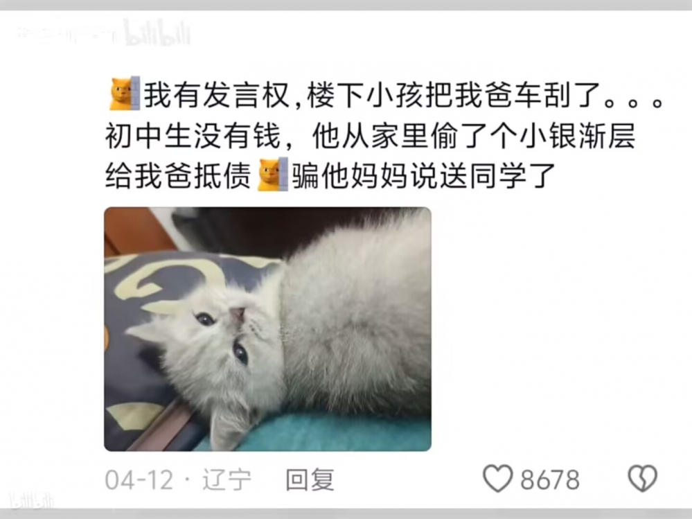 不治过敏（悲）