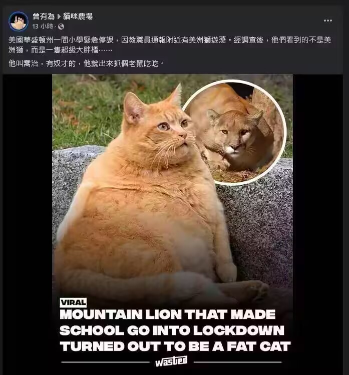 还能追上老鼠吗