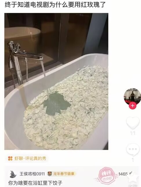 白玫瑰吗