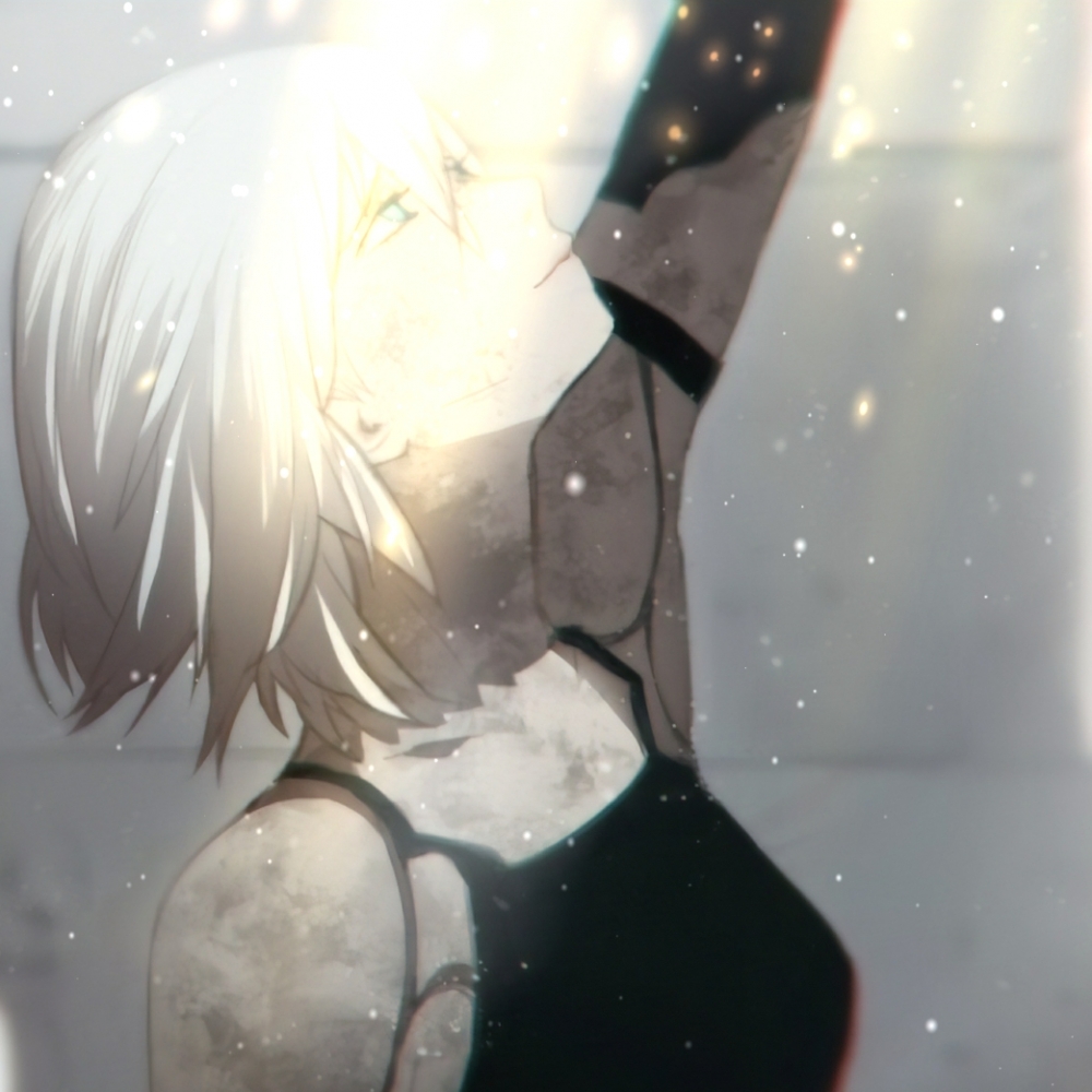a2