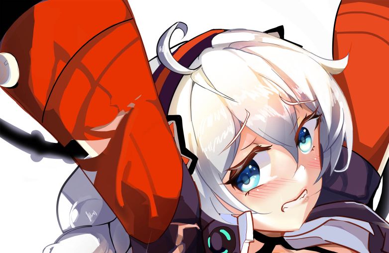 白毛团子