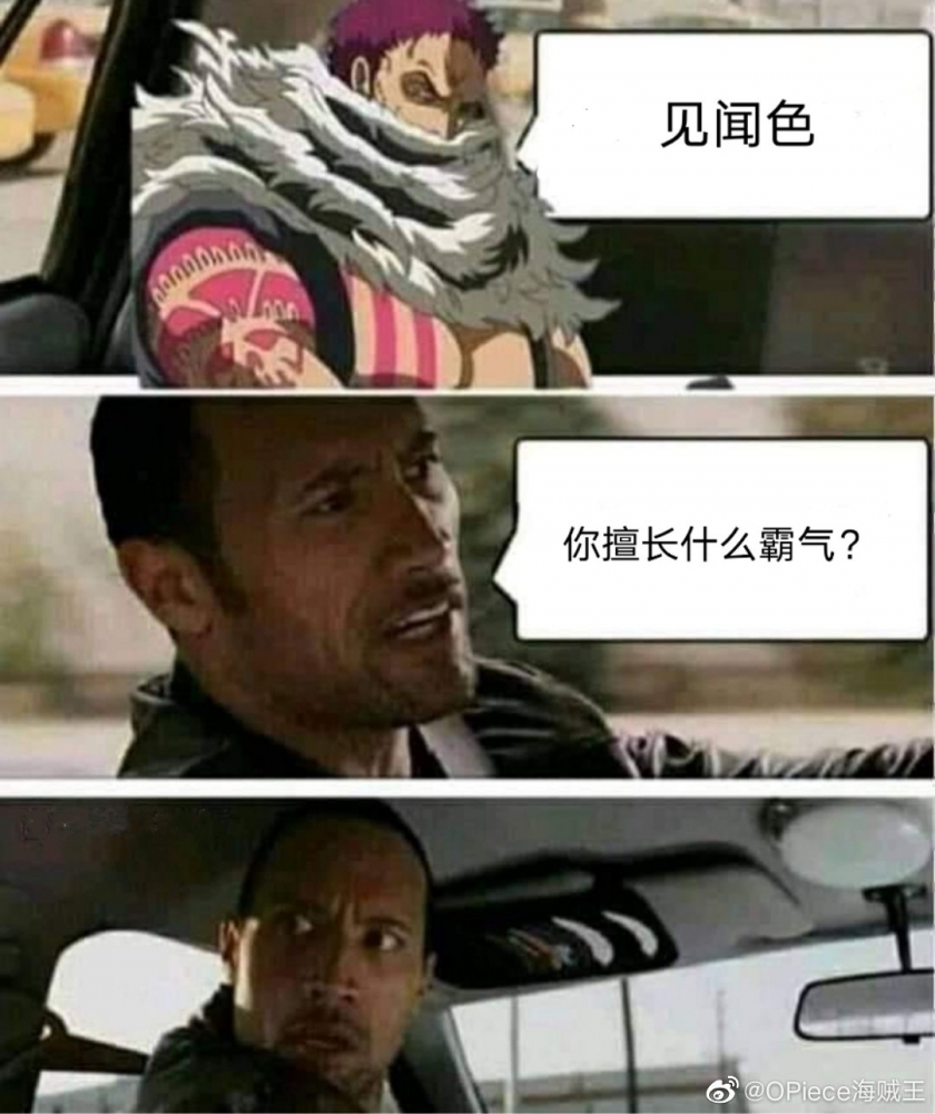 见闻色